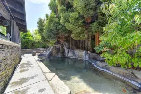 WIND HOUSE Luxury Next to Downtown OldTown Airport SleepTrain Arena Pool Sauna - Image 3