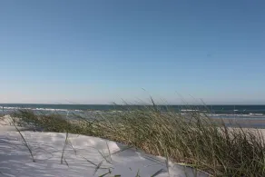 Sonnig und gemütlich - zwei Außenbereiche und stilvolle Außenanlage mit Teich - Image 4