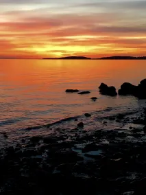 “SeaStar Cottage” Beautiful west side Whidbey Island! Check dates for Specials! - Image 3