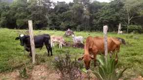 Serra do Itacolomy, Casa de campo - Image 4