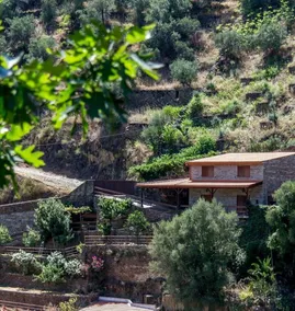 Haus am Hang Douro Valley - Image 2