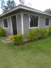 Eddys Resort - Image 4