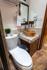 Plunge pool view! studio w/Netflix, wine cooler, etc. .9 mi. from central sq. - Image 4