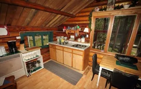 Casa de 2 habitaciones - Estilo rústico \"A Frame\" Log-River de Marten, ON Olive the Lake Cottage # 2 - Image 4