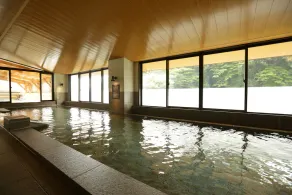 Tenseien - Image 5