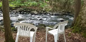 Unplug at Davey Fallls! Water view, Private waterfall & large swimming area. - Image 4