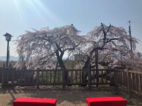 Oyado Sakura Gojo Ekimae - Image 5