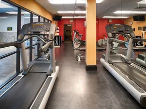 Just What You Were Looking For! 3 Great Units, Free Parking, Indoor Pool - Image 3