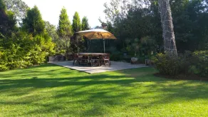 Excelent property, 2,000 m2 OF garden , the house has 900 m2 beautiful view   - Image 3