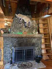 Adirondack Mt. 4 säsong Lakefront Cabin på sjön Algonquin, Wells, NY. - Image 4