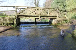 Yaffle Cottage. Home comfort in an idyllic woodland location - Image 2
