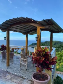 Nature awaits in Tobago - Image 3