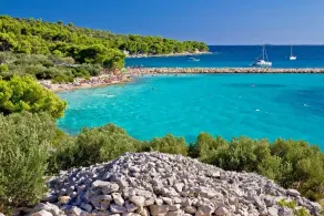 Villa Pina-TOP **** Apartment Evitos am Meer in Tisno / Dalmatien - Image 5