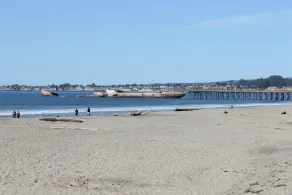 Beachside Aptos -- Quick Walk to Beach, Pet Friendly, WIFI, Washer & Dryer - Image 5