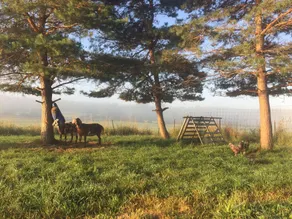 Kommen Sie in eine Luxuswohnung auf dem Land in einer von Amish gebauten Scheune! - Image 3