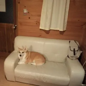 Cottage Wan's - Image 4