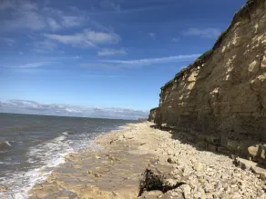 Charming accommodation near La Rochelle and Île de Ré .500 m from the sea - Image 5