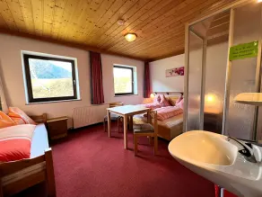 Holiday home 200 m from the piste - Image 3