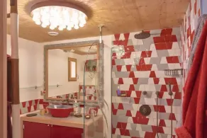 Ecogîte with Nordic bath in Alpes de Haute-Provence - Image 5