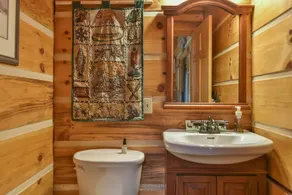 'Bair' Necessities Cabin w Hot Tub and Firepit - Image 2