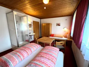 Holiday home 200 m from the piste - Image 4