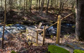 Serenity by the Stream - Image 2