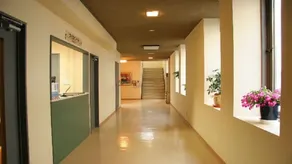 Business Hotel Shimizu - Image 2