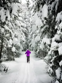 Mountain Paradise, Olympiaregion Seefeld, Tyrol - Image 2