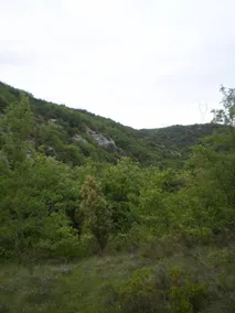 sommerhus i hjertet af naturen - Image 5