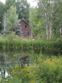 Greenwood At Entangled Acres - Log Cabin w\\WiFi on 16 Acre Animal Sanctuary - Image 4