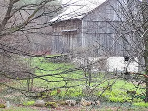 Ladybank Schoolhouse - Private Country Charm and Elegance in Nature - Image 3