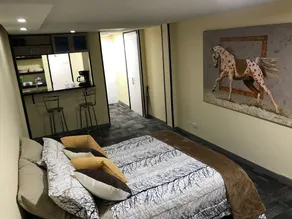 Entire Apartment Zona Rosa - Image 4