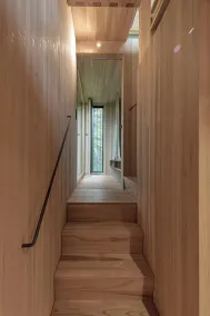 Adventure tree house, Baldauf family - Tree house - Image 2