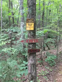 Private mountain Property, end of the road Privacy - Image 4