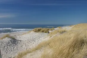 Apartamento exclusivo perto da praia em uma bela paisagem de dunas - Image 5