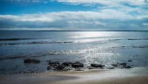 Anchorage Cottage @ Ventnor: (animali domestici) + WiFi - Image 3