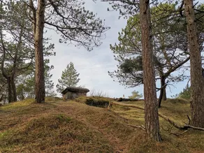 4 person holiday home in Oksbøl - Image 5