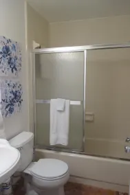 Tampa Condo - GOLF / JARDINS BUSCH / ÎLE AVENTURE / MOFFITT / PLAGES / DISNEY - Image 3