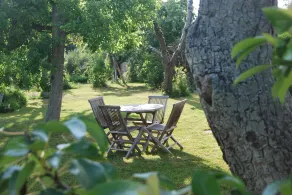 Feha - Historisk stråtækt sommerhus med trailer og en stor frugthave - Image 4