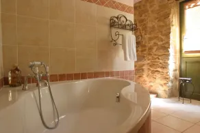 tipo completa, piscina privata, tra Avignone e Uzès, autentica Provenza Mas - Image 5