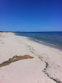 Serra Di Fium Orbu: residência de charme de 3 vivendas com piscina - Image 3