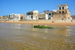 Appartement lumineux avec vue sur la plage et accès direct à la mer - Image 5