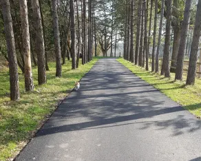 Landdistrikterne hytte på 3. 5 km fra spaen - Image 1