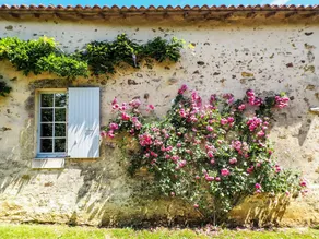 Holiday Home in Saint-Laurent-de-la-Salle with Pool - Image 5
