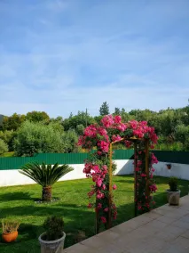 A casinha - Image 4