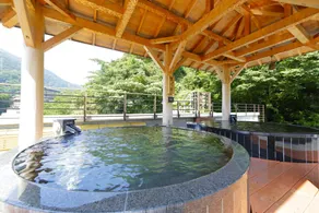 Tenseien - Image 2