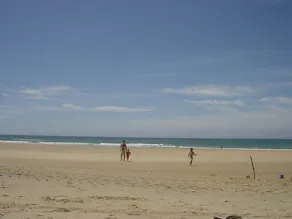 La Tomate Surfeuse 1 - Image 3