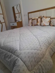 Lovely 3-Bedroom Apartment Maadi - Image 3