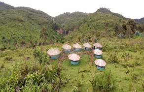 Maverick Camp, Rondavels & Homestay - Image 3