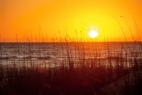 19 Bald Eagle West at The Sea Pines Resort - Image 5